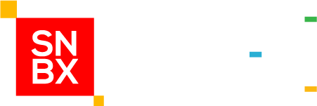 LogoSNBXInnovationSummitSticky